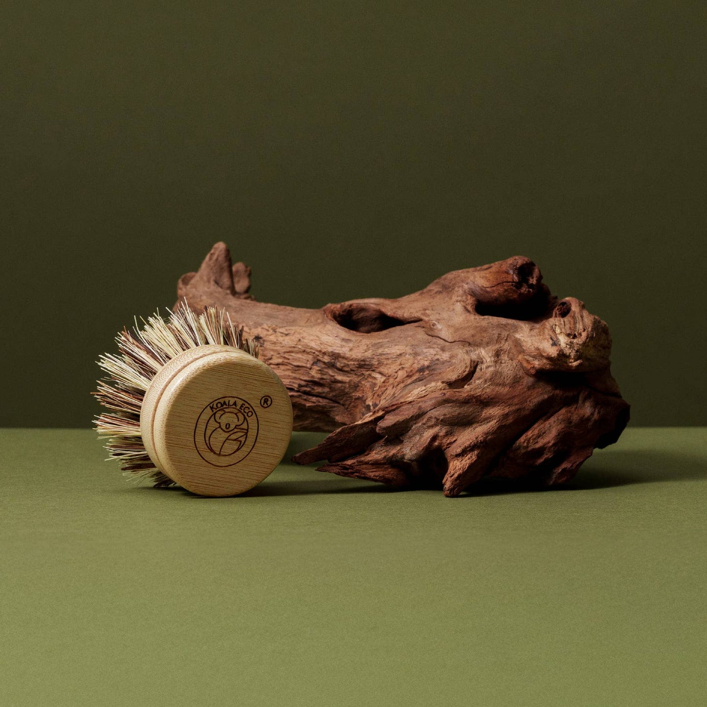 Traditional Dish Brush
