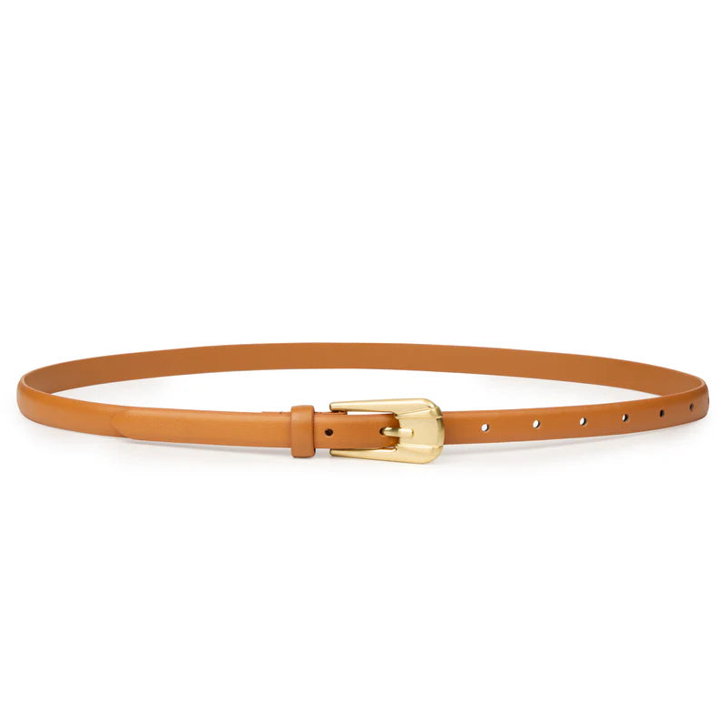 The Carini Belt - Desert