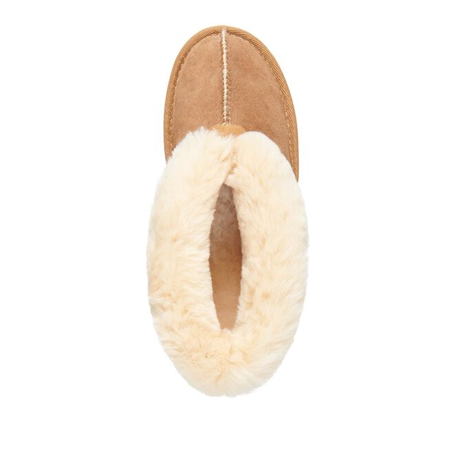 Platinum Albany Ugg Slipper - Chestnut