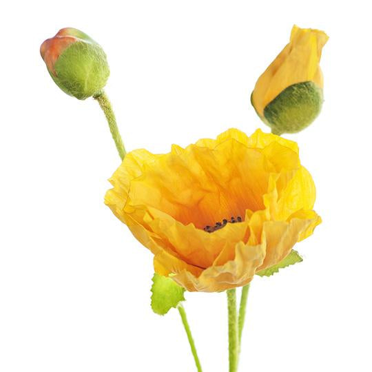 Artificial Poppy Stem - Gold