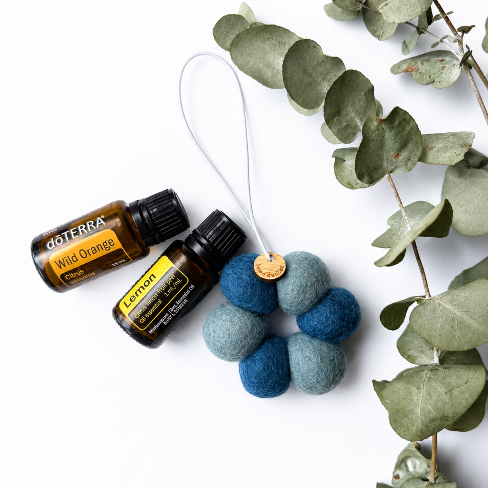 Scented Your Way Felt Fresheners - Assorted Colours