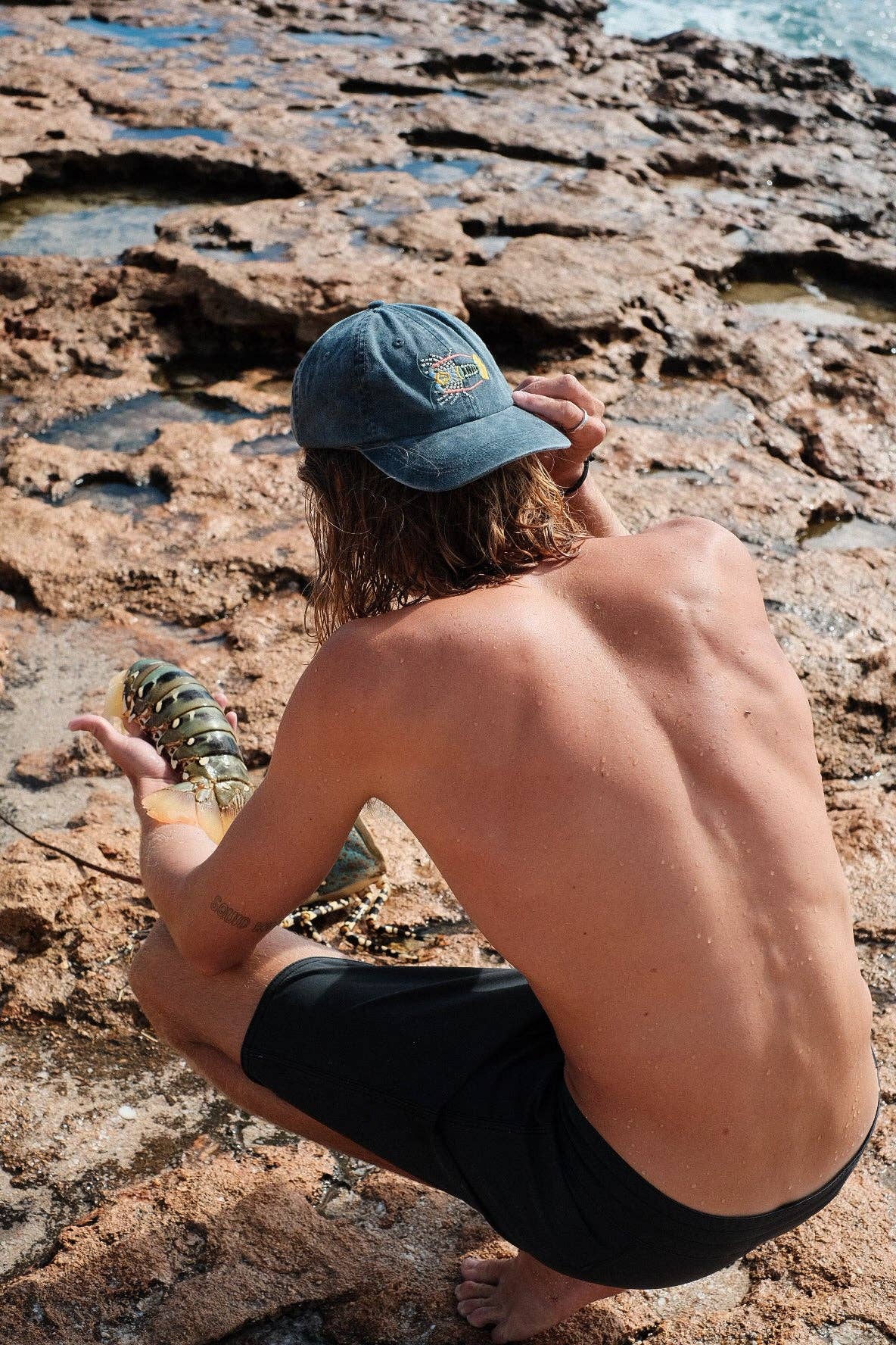 Tropical Rock Lobster Lid