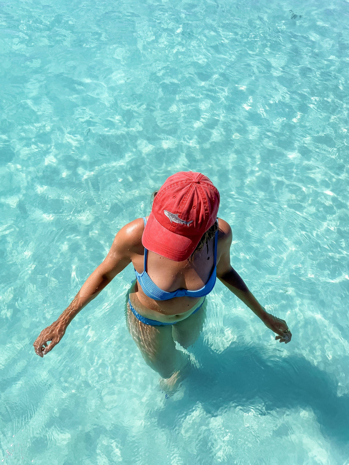 Tiger Shark Lid