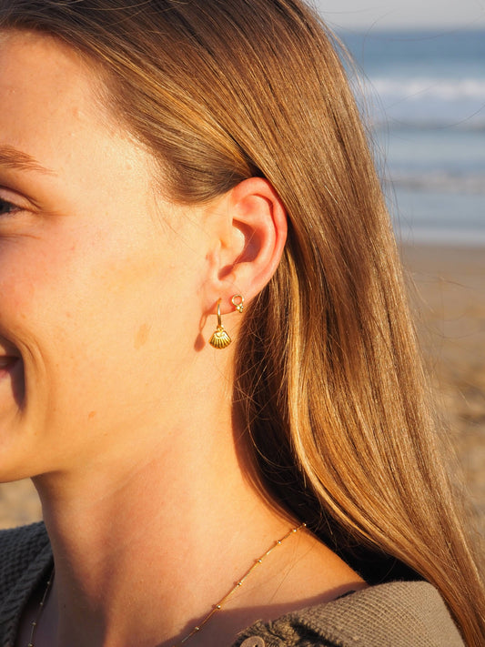 18K Gold Seashell Scallop Earrings