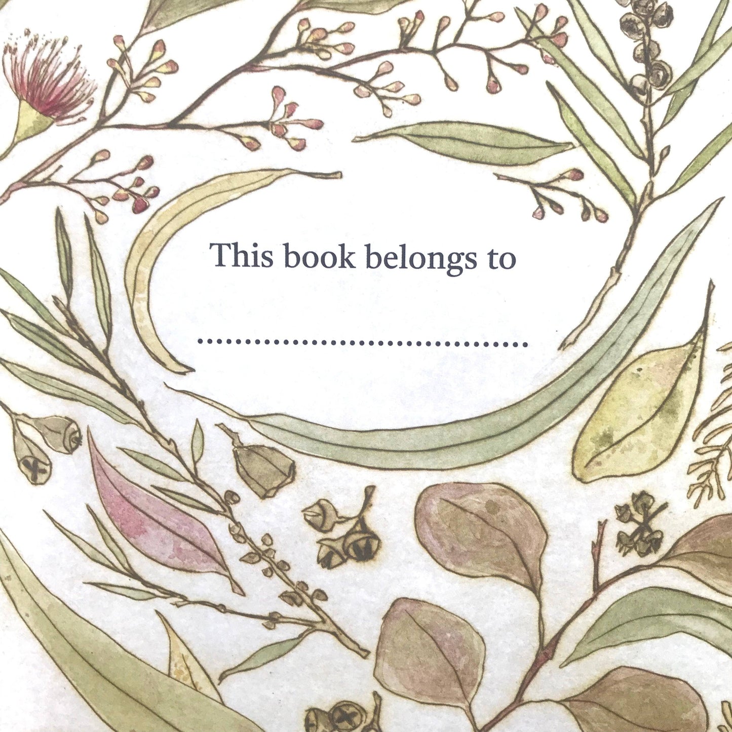 The Bush Birds - Children's Lift The Flap Book ~ CBCA 2022 Notable Book