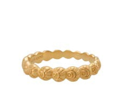 Soul Protector Ring - Gold Plate