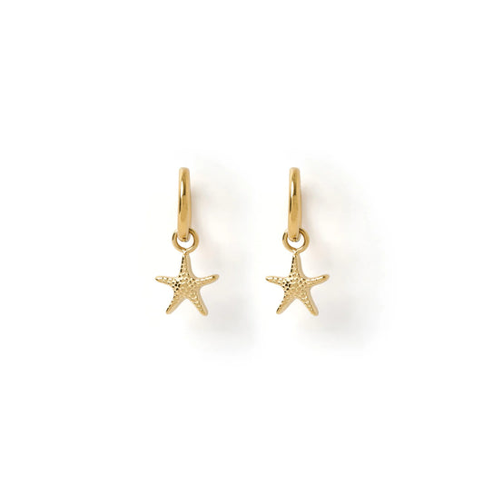 Sea Star Gold Earrings