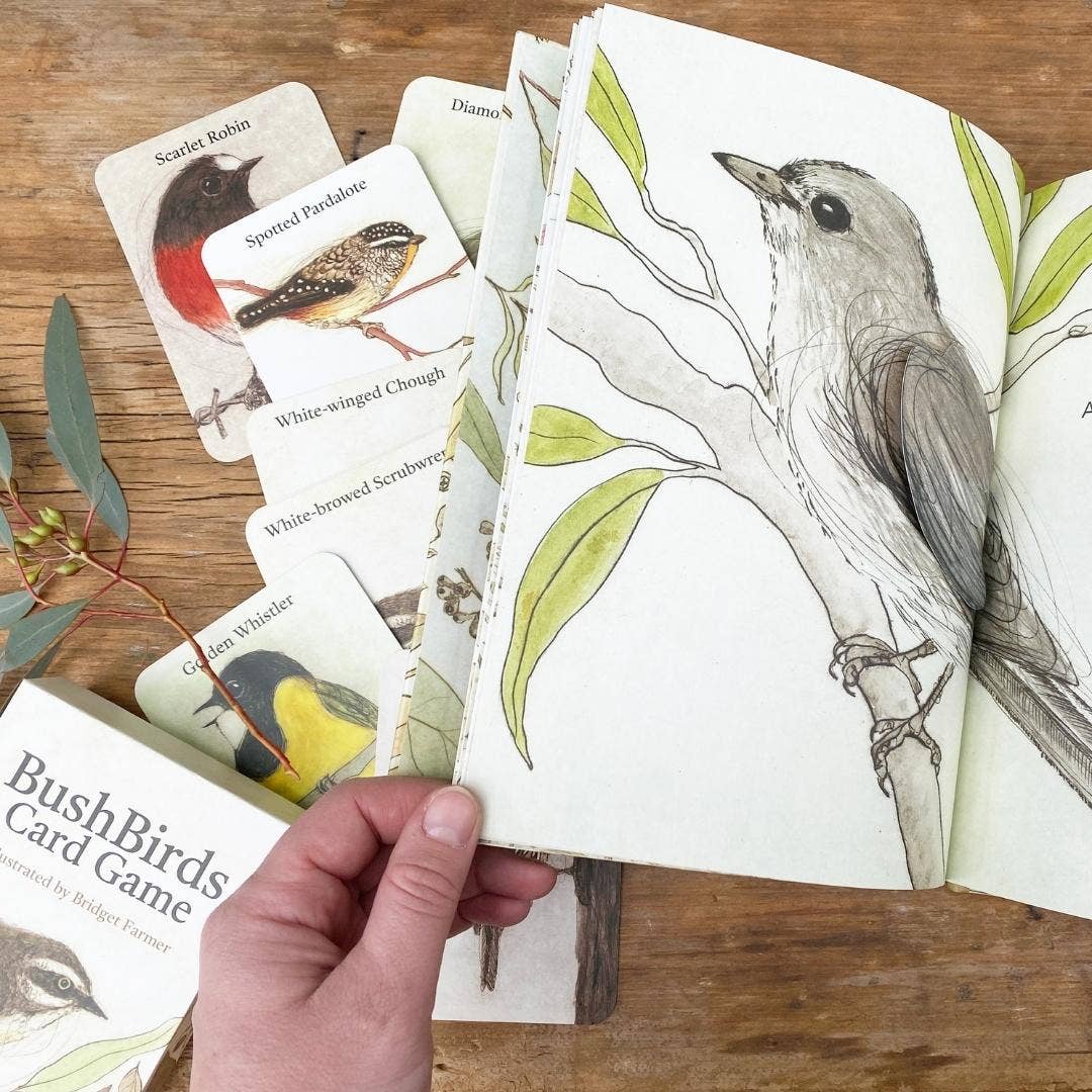 The Bush Birds - Children's Lift The Flap Book ~ CBCA 2022 Notable Book