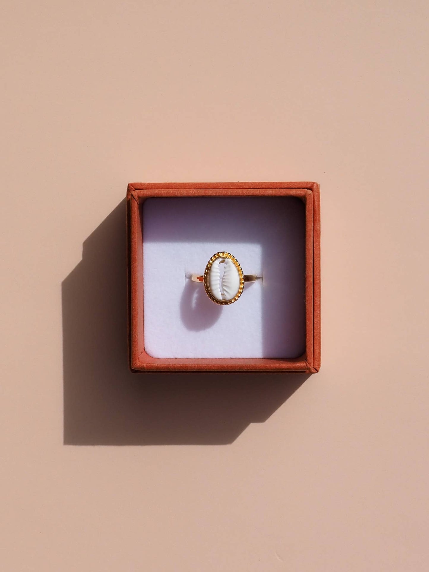 18K Gold Cowrie Shell Ring : US 8