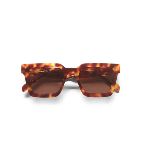 Brooklyn II Tortoise w/- Brown Lenses