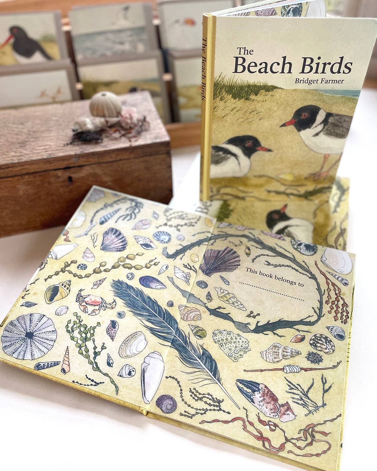 The Beach Birds - Children's Lift The Flap Book