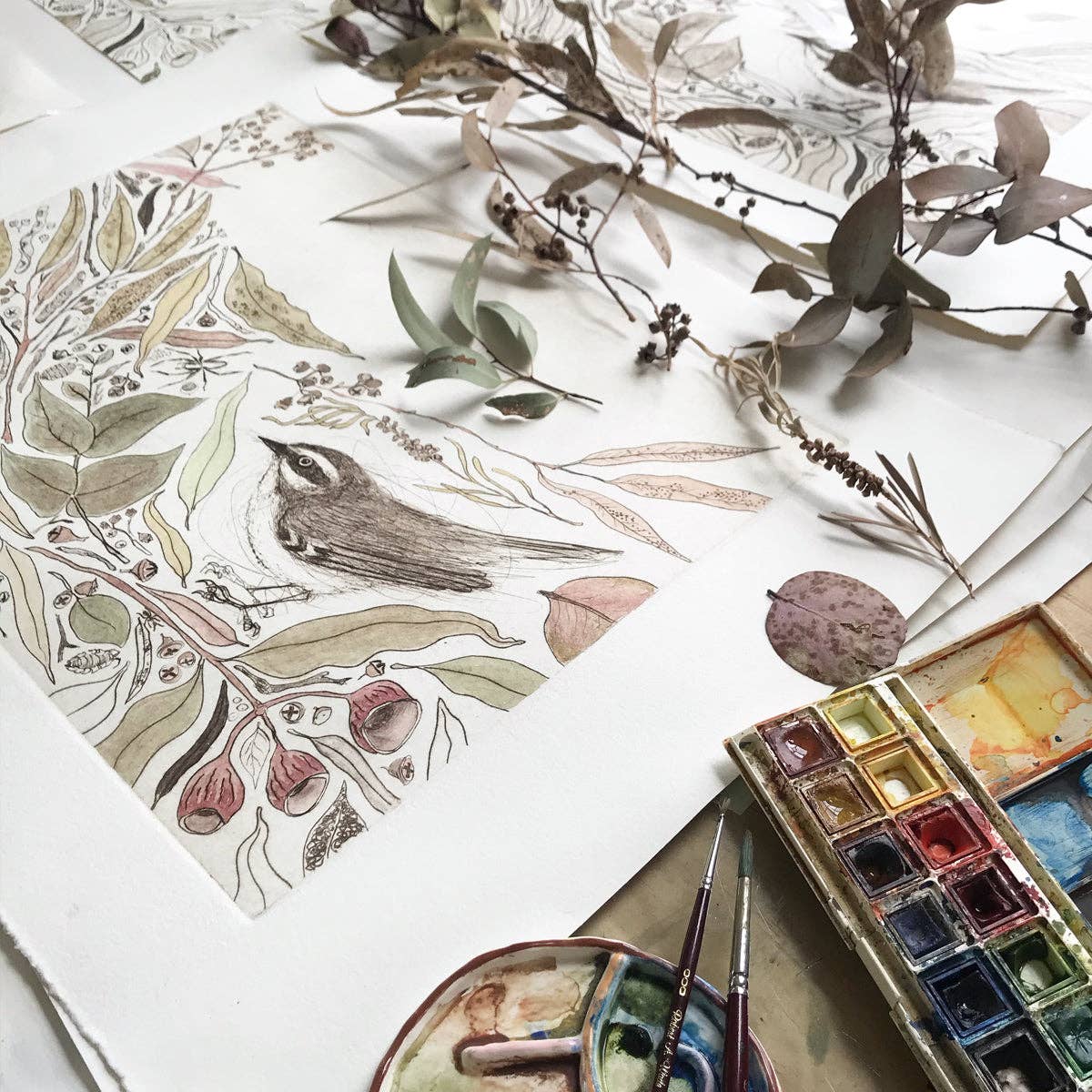 The Bush Birds - Children's Lift The Flap Book ~ CBCA 2022 Notable Book