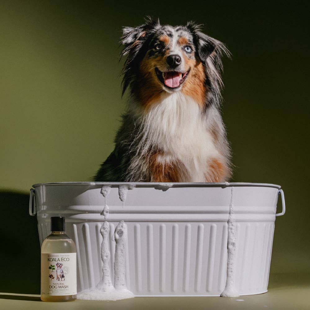 Natural Dog Wash - Sweet Marjoram & Rosalina:500ml