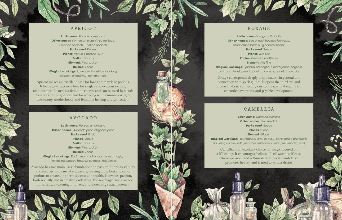 The Witch's Apothecary