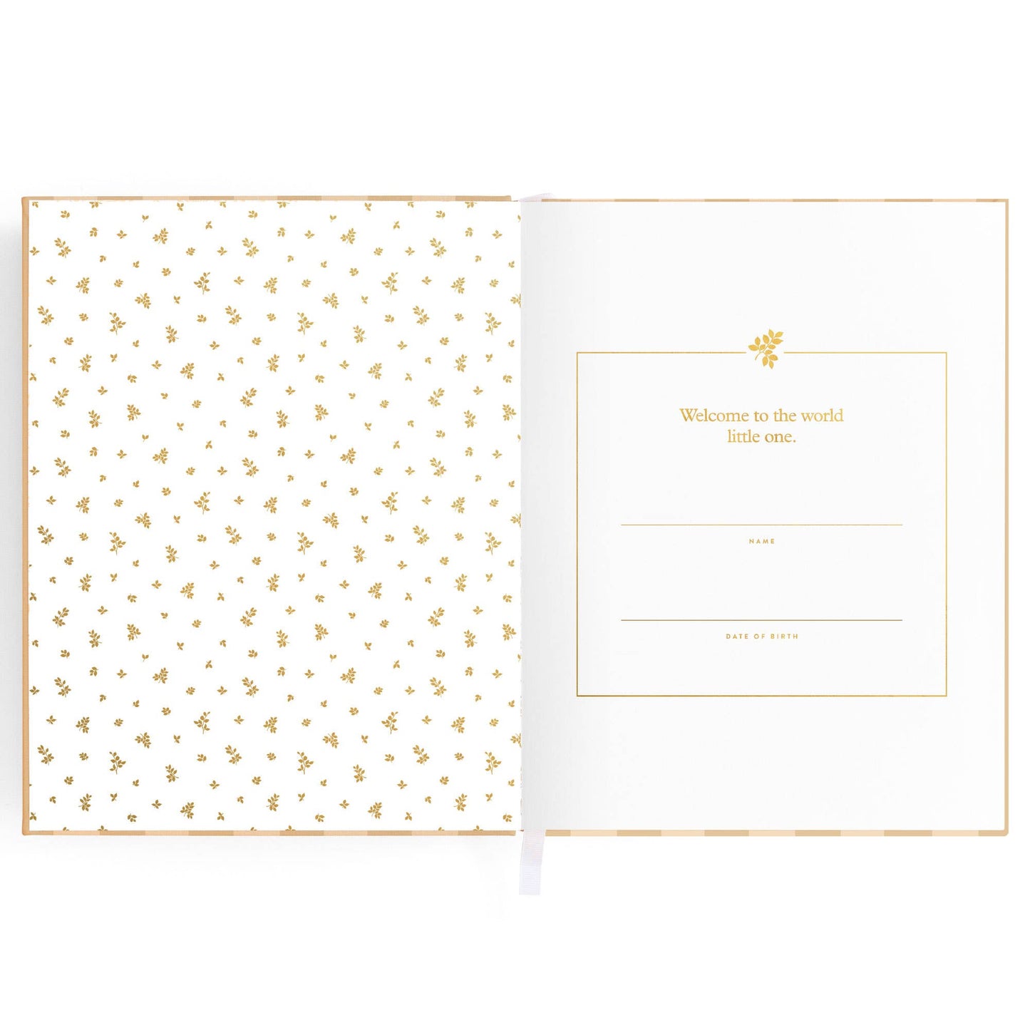 Baby Book Coffee Stripe
