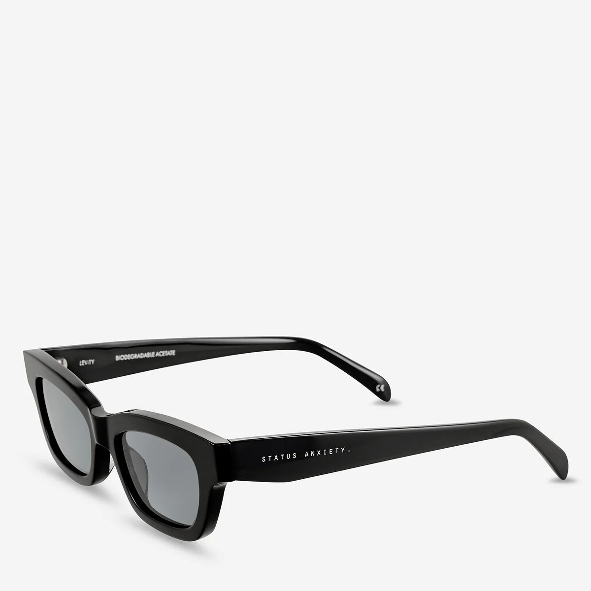 Levity Sunglasses - Black